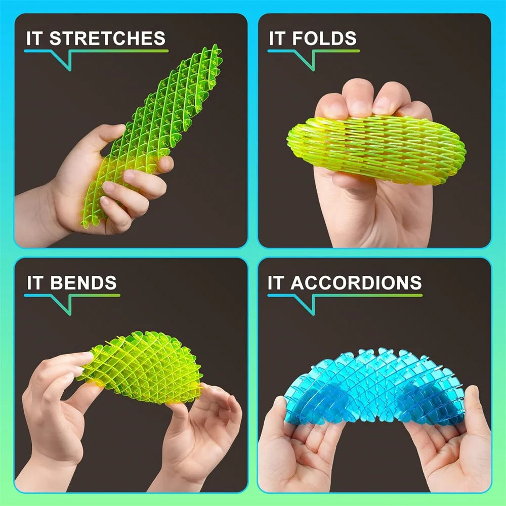 Fidget Worm Slug Toy | Stretchy Sensory Stress Relief Toy for Kids & Adults